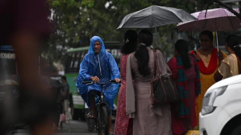 IMD upgrades rain alert to red for 8 districts in Kerala after intense overnight rains