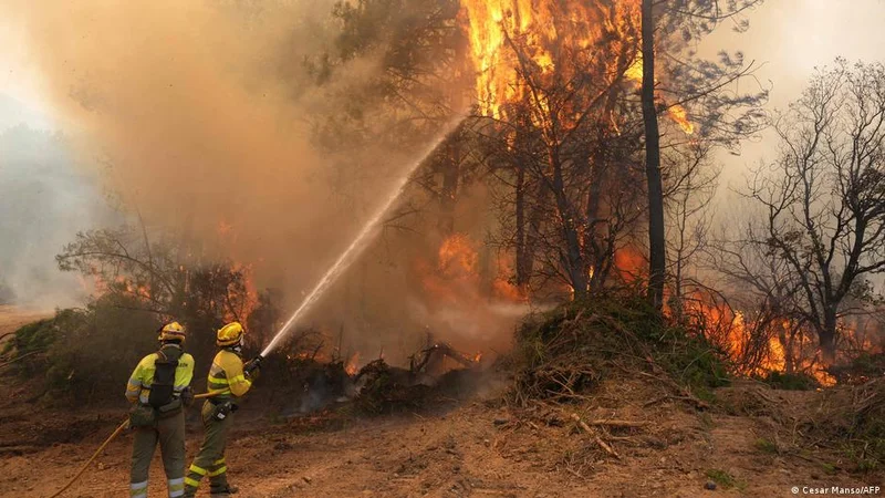 Spain's wildfires: Counting the economic cost