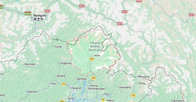 Arunachal Pradesh: Five Army personnel missing after flash floods, four persons killed in landslide