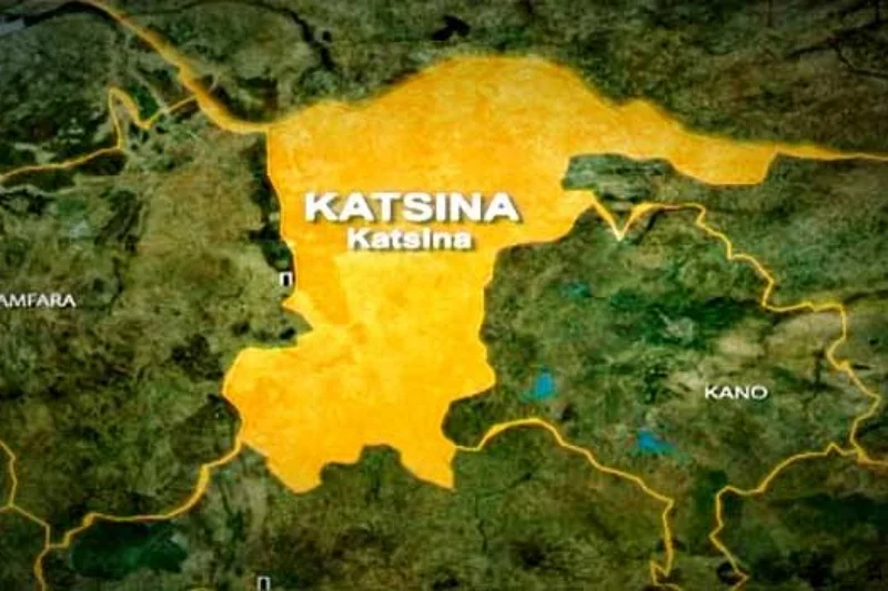 Bandit Kingpin, 60 others dead as DSS, vigilante foil bloody Katsina attack