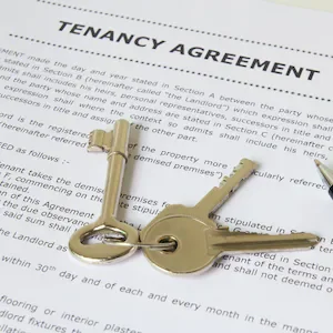 Tenancy Tribunal issues new artificial intelligence guidelines amid concerns over ‘cases with AI slop’