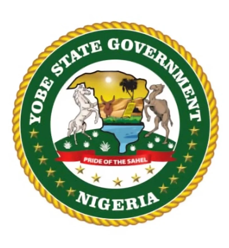 Yobe begins process for LG development area councils, sets up committee