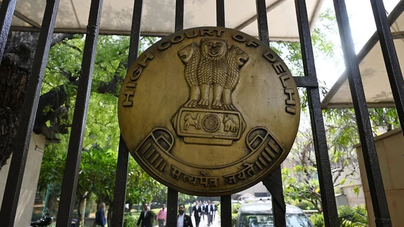 Delhi High Court upholds conviction of man for sexually assaulting 11-year-old boy