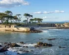Single shark bite led to death of woman whose body was found on California beach, autopsy shows