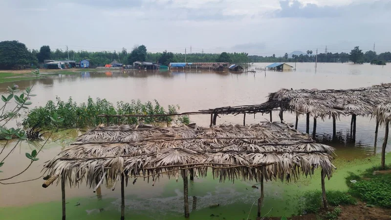 Second Godavari flood warning in force, releif operation in full swing in Konaseema, Polavaram districts