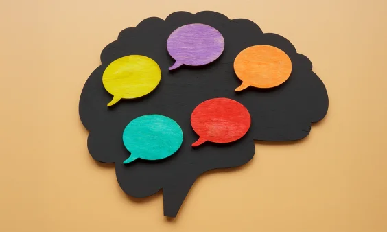 We May Have Finally Identified the Brain’s Language Network