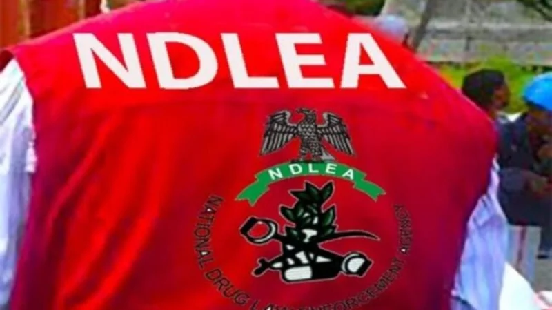 NDLEA intercepts China, Italy-bound cocaine concealed in mortar, backpack