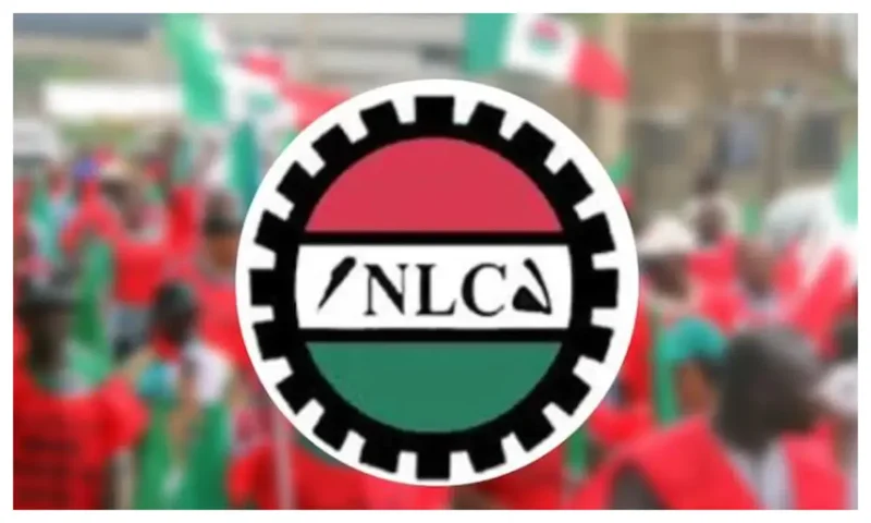 2027: It’s unfortunate NLC has been dragged to very lowest ebb — Akporeha