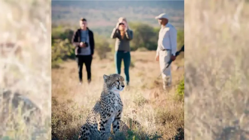 A family bought 11 farms and turned them into a big five wildlife haven