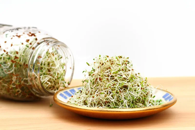 Salmonella and E. coli outbreak linked to alfalfa sprouts spreads to 15 states, officials say