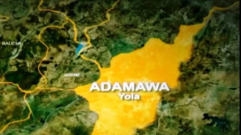 Woman allegedly beheaded in Adamawa hotel