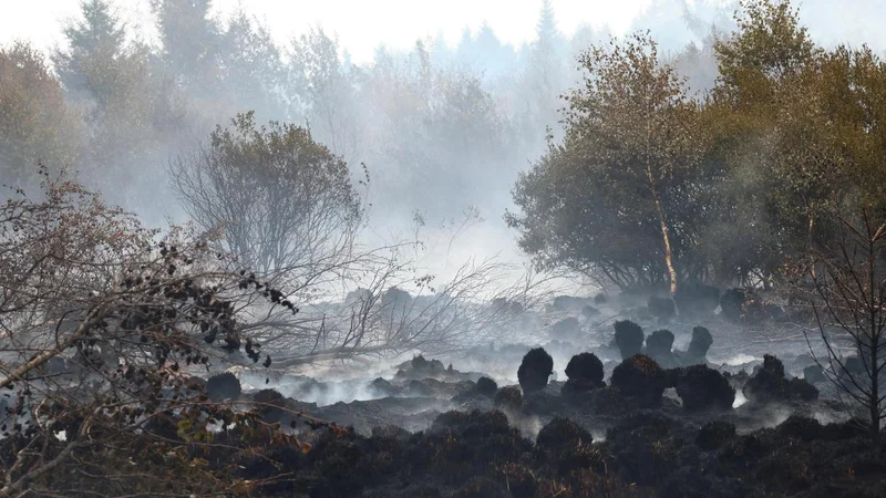 Firefighters push to ‘encircle’ Belgian wildfire