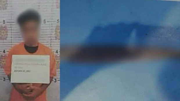 Cebu City: Man faces frustrated murder raps after hacking woman, her son