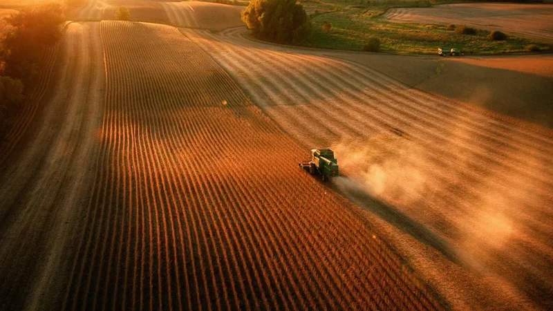 China buys at least 10 more cargoes of US soybeans, traders say