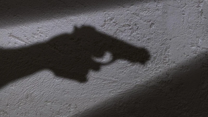 Indian national shot dead by unidentified man in New York City