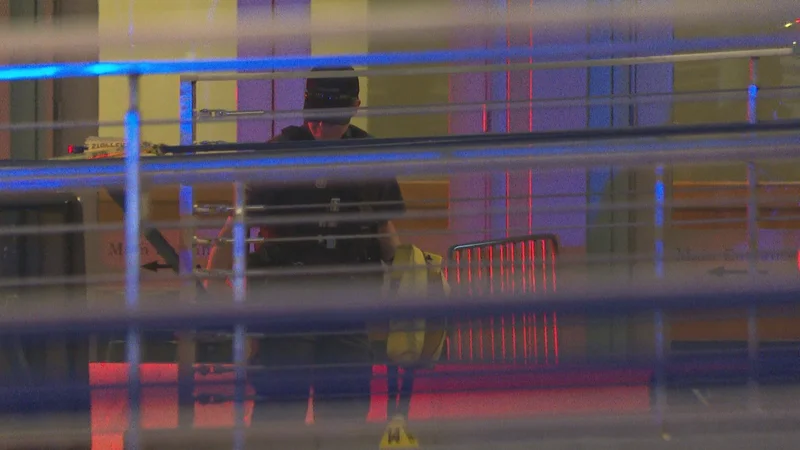 Two injured, one in custody in shooting on Calgary LRT platform: police