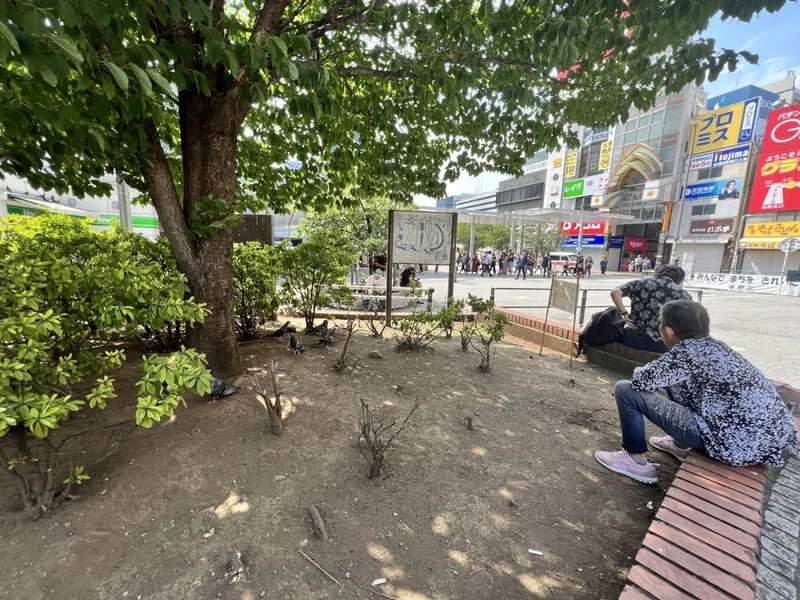 As Japan’s concrete jungles sizzle, urban forestry offers an all-natural fix