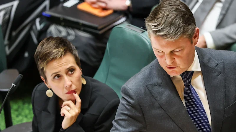 Premier Ben Carroll appoints AI minister, scraps infrastructure portfolios in new-look cabinet