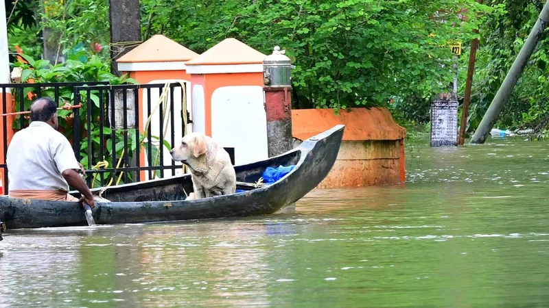 Kerala rains: More heavy rainfall likely in flood-hit regions as IMD sounds red alert in three districts