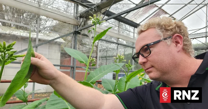 Country Life: Growing the good bugs, feeding the bad