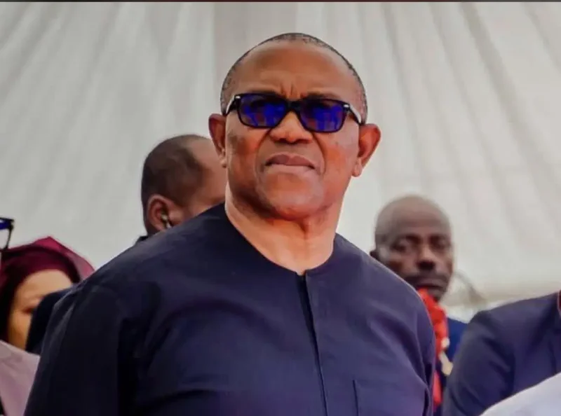 Peter Obi can’t give Obidient Movement required leadership – Sambo