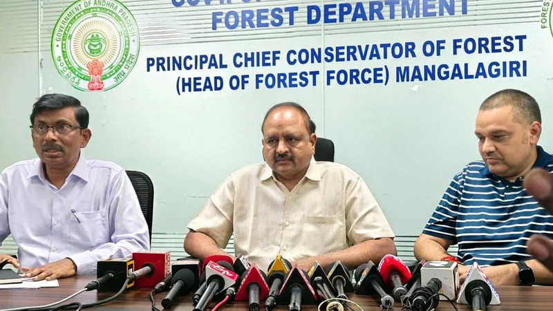 Death of two tigers: one was poached, the other died of natural causes, says high-level panel