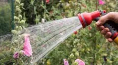 Hosepipe bans in force as drought declared - is your area affected?