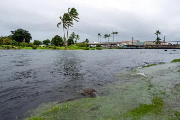 Hurricane Lala dumps heavy rain on Hawaii