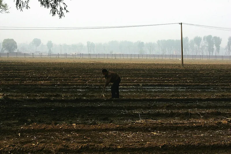 Farmer accidentally kills 25 acres of crops after trusting AI advice