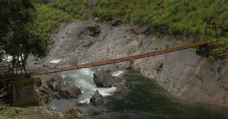 For children: Two pen pals fight against the construction of a dam that will submerge Silent Valley