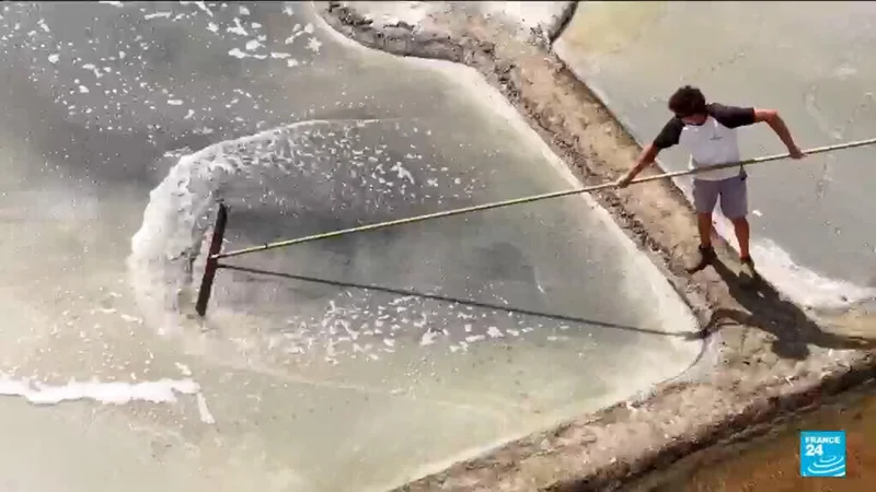 France’s heatwaves bring bumper salt harvest in Guérande
