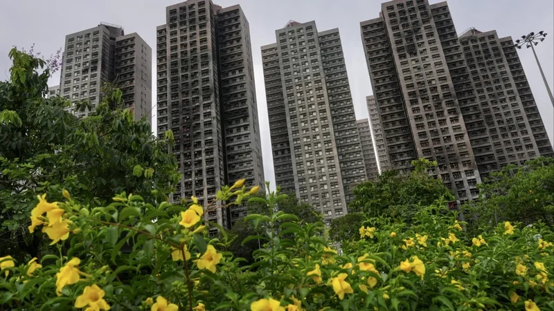 Supplier says subcontractor ordered non-fire-retardant nets before Tai Po blaze