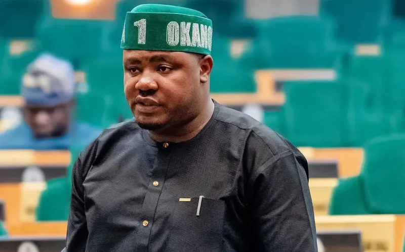 Lawmaker cautions NASS against external political influences