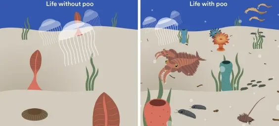 We Wouldn’t Be Here Without Poop