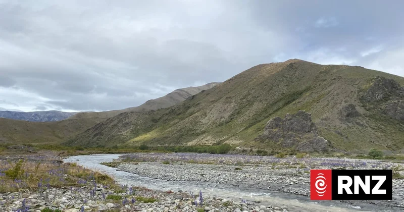 Ngāi Tahu to take pest management, commercial farming seriously at Molesworth Station