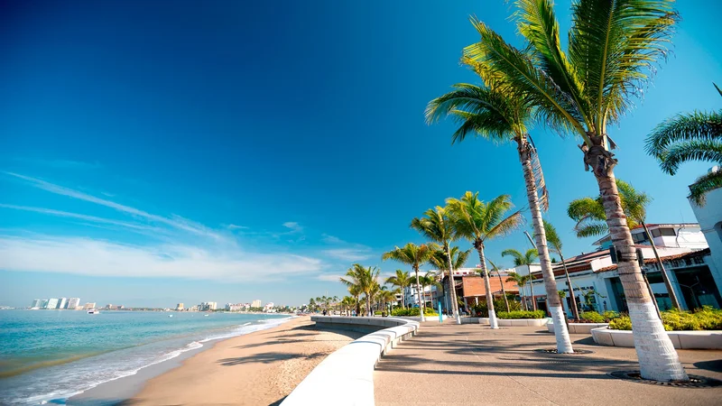 Puerto Vallarta Leans on Domestic Visitors as Foreign Arrivals Soften