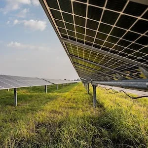 Genesis Energy’s 436ha Foxton solar farm gets fast-track approval