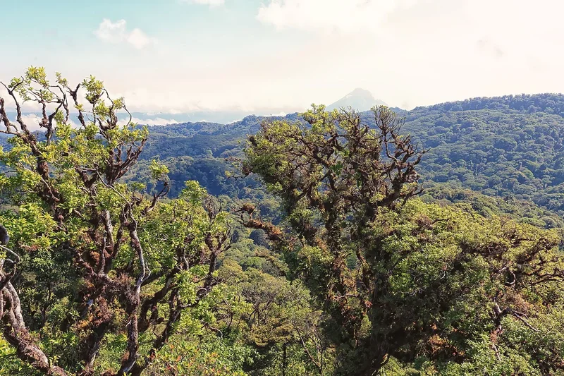 Forbes Spain Courts European Tourists with 36-Page Costa Rica Feature