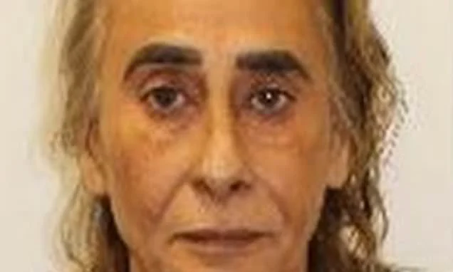 Now this 'professional' pickpocket who targeted the elderly is spared jail as prisons are too full