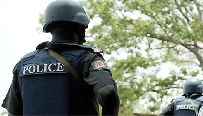 Police foil cult initiation in Ogun, arrest 17, recover firearm