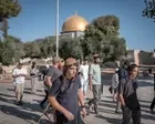 Monday briefing: How the new phase of confrontation at al-Aqsa signals a challenge to the status quo