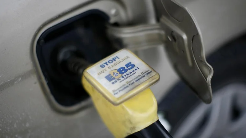 No commitments relating to ethanol import from U.S. for fuel blending under FTA talks: Govt