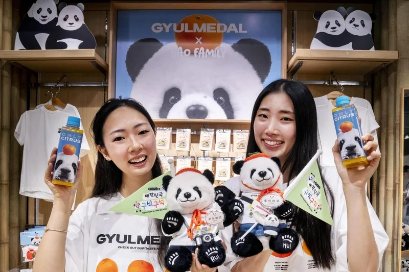Panda-monium on Jeju: Twin panda Hui Bao leads Everland's island travel campaign