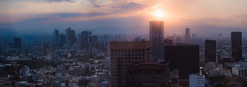 Mexico City Weekend: Rosalia, Free Markets and More Plans to Enjoy CDMX