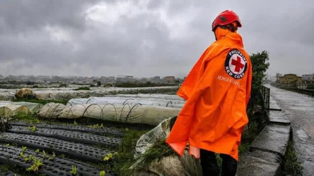 La Union farm damage tops P11M amid heavy rains