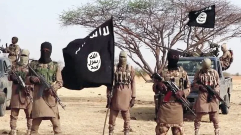 Boko Haram commander, three fighters, woman surrender to troops in Borno