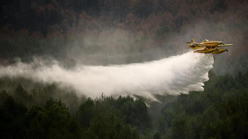‘Water bombers’ take to skies as Greece battles wildfires