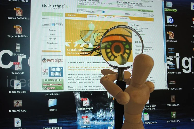 KAIST finds 'foreign-linked' online accounts fueling opinion divisions