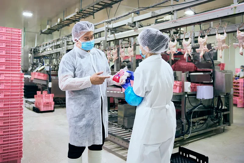 40% lower electricity bills, better emissions tracking: How a ‘queen bee’ partnership helped Sakura Chicken supplier go greener