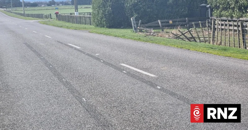Teens charged after fleeing driver crash left cop critically injured in Palmerston North